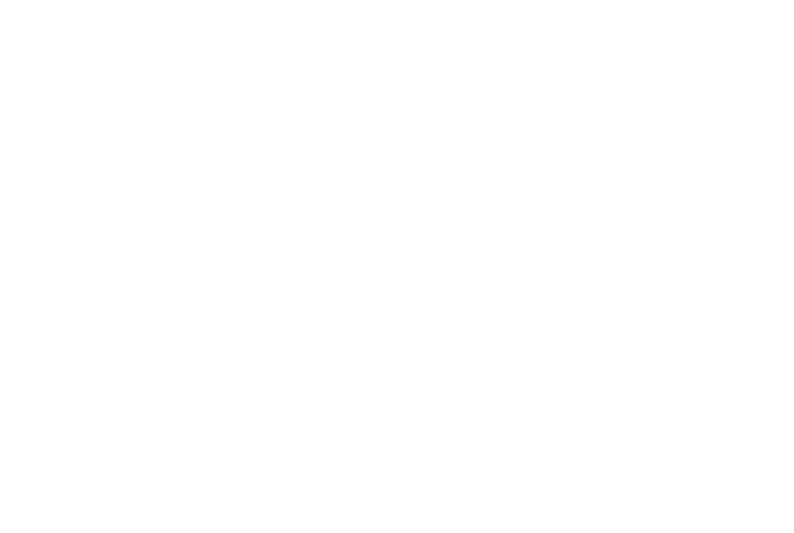 vision 2030 logo